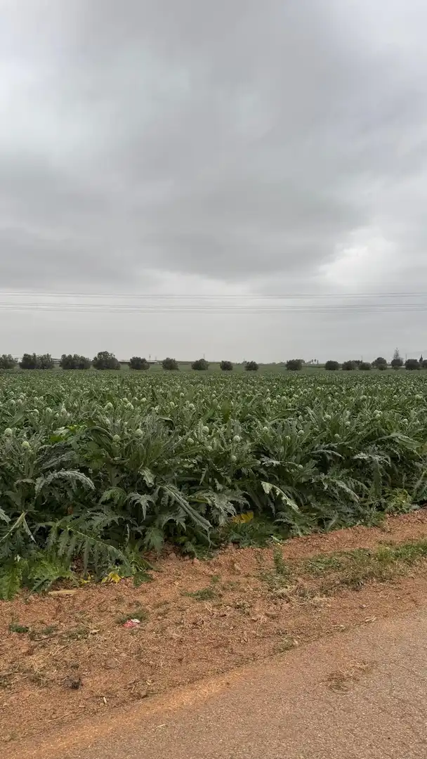 Terreno en venta en Murcia