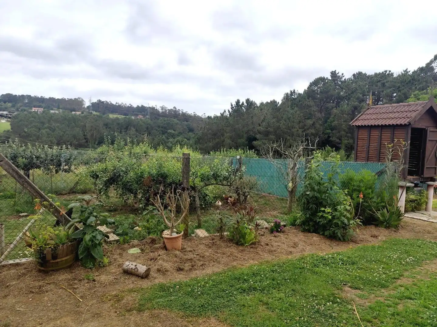 Garden of Houses for sale in Carballo  with Heating, Storage room and Furnished