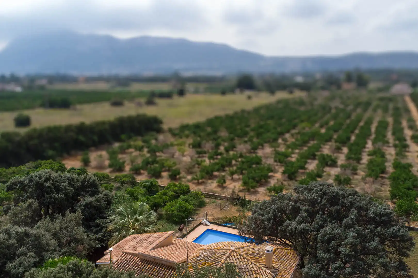 Villa avec piscine à vendre à Las Marinas / Les Marines, imagen 39