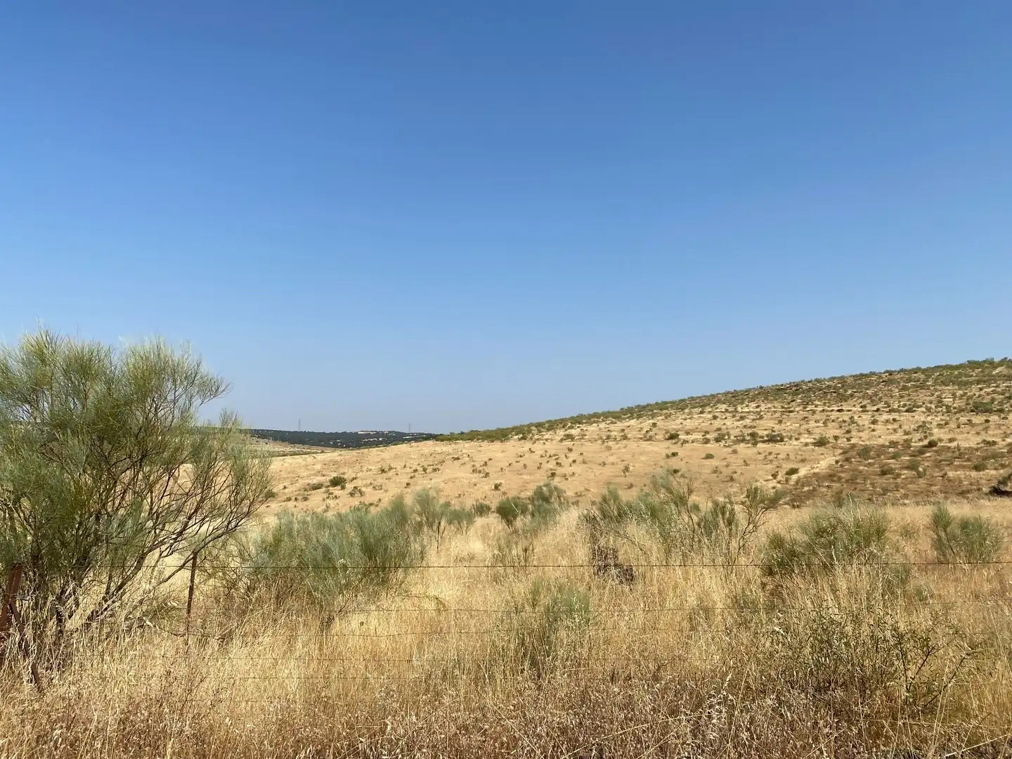 Grundstücke zum Verkauf in Aldeanueva de San Bartolomé