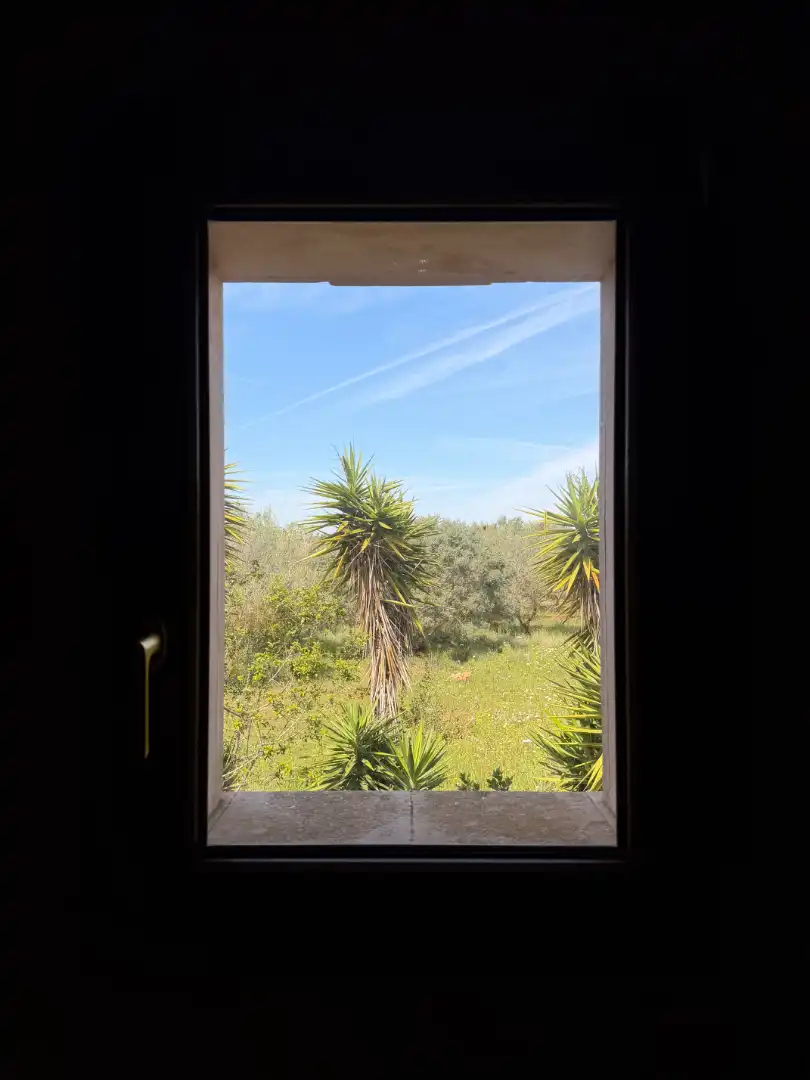 Jardín de Finca rústica de alquiler en Manacor con Aire acondicionado, Calefacción y Jardín privado