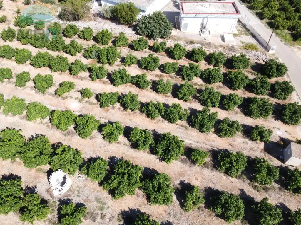 Rural land for sale in Partida Fontilles, imagen 2