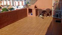 Terrace of Attic for sale in Algeciras  with Terrace