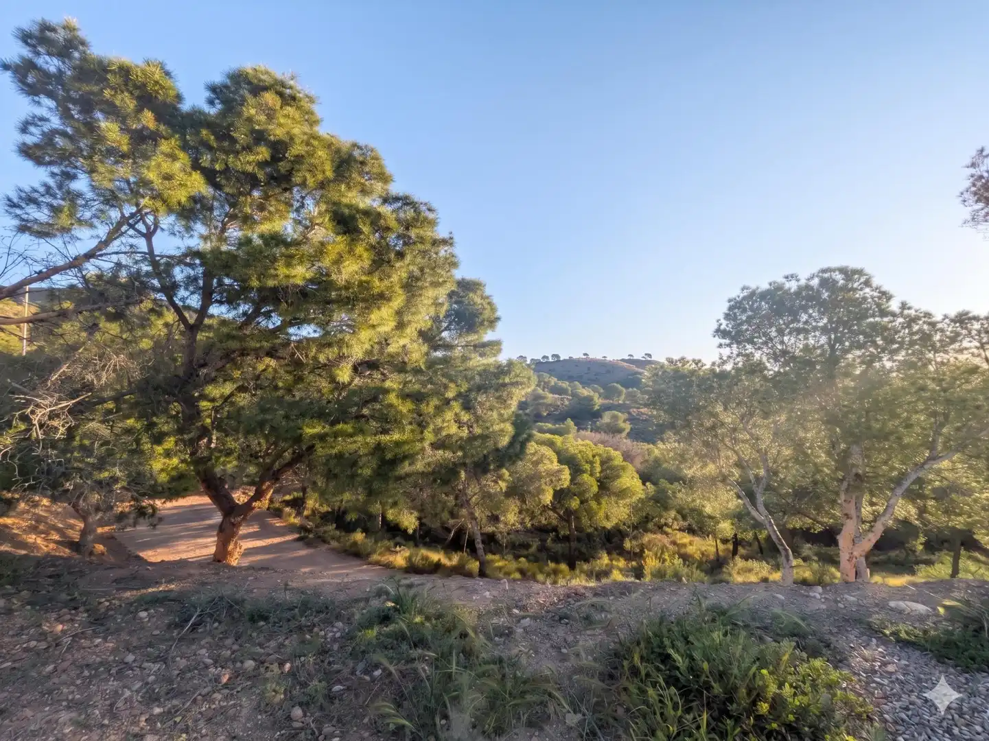 Casa o xalet en venda en Totana