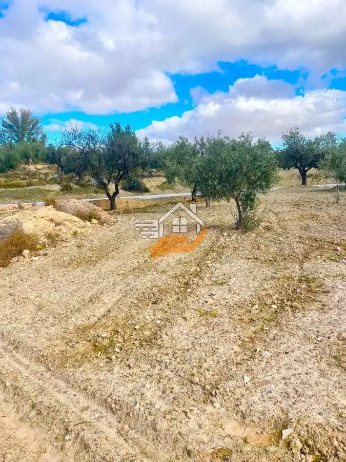 Residential land for sale in Vélez-Rubio