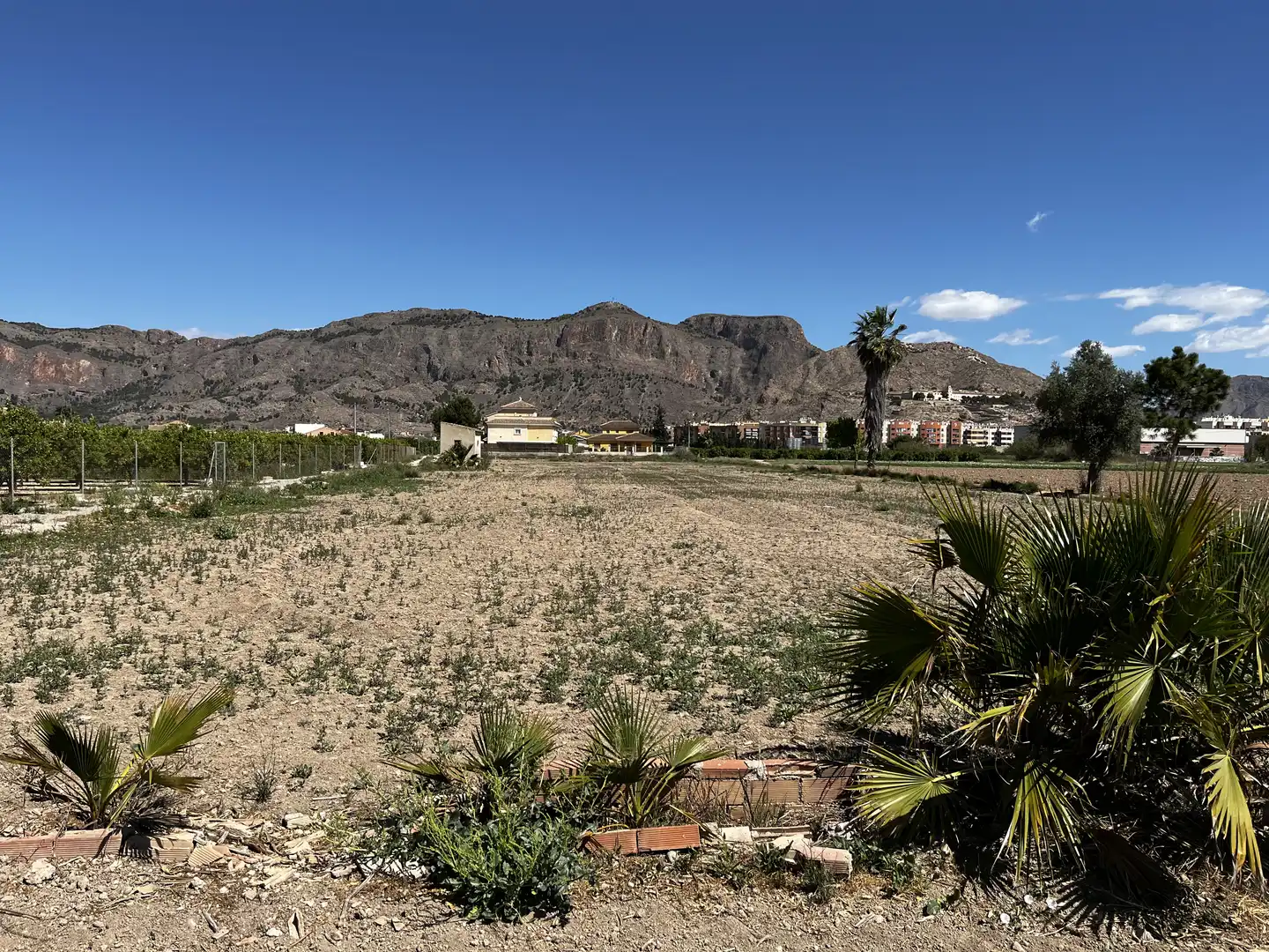 Terreno rústico en venta en Vereda de las Acacias 14, imagen 2