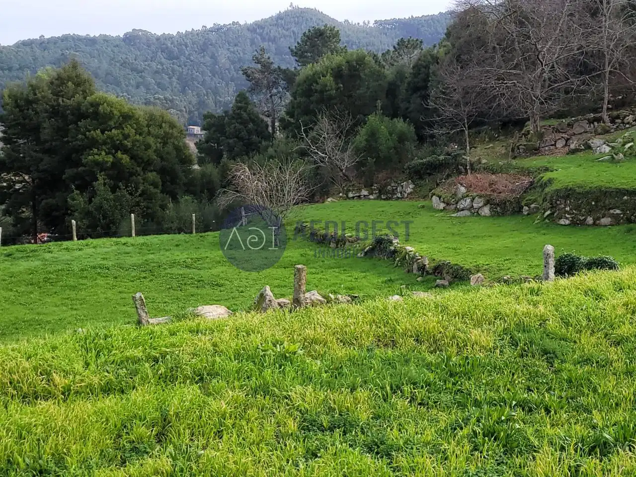 Finca rústica en venta en Baiona con Jardín privado