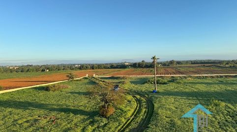 Terreno con proyecto básico en Felanitx.