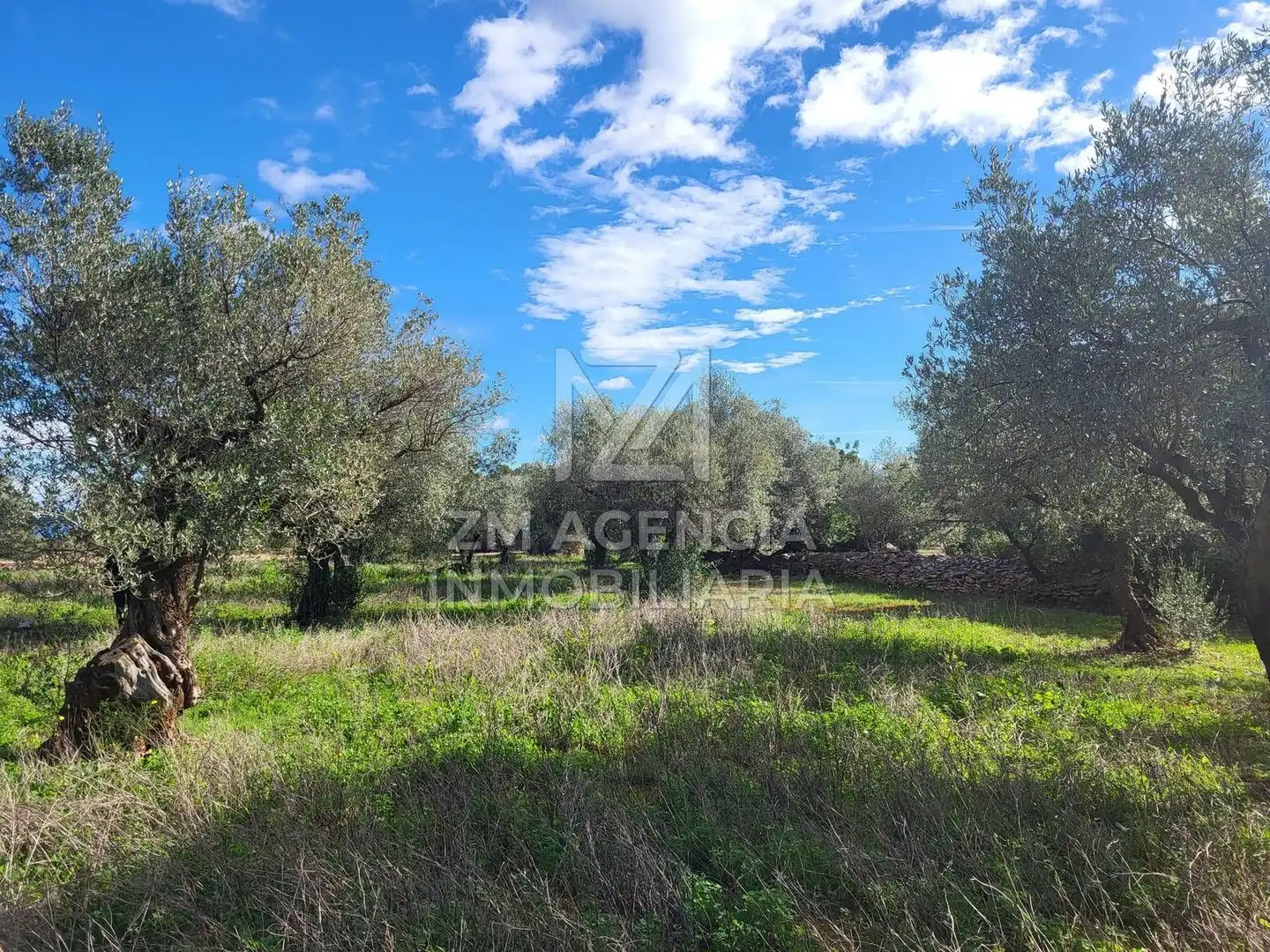Rural land for sale in Vilarets, imagen 4