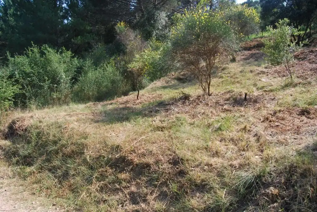 Terreny rústic en venda a Sant Celoni, imagen 8