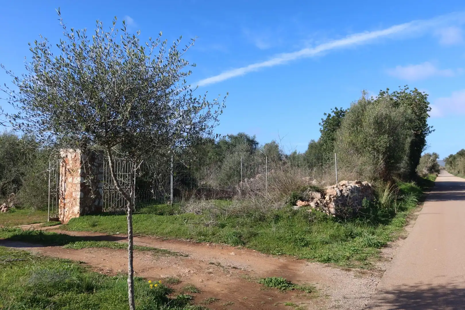 Residential land for sale in Campos poble, imagen 3