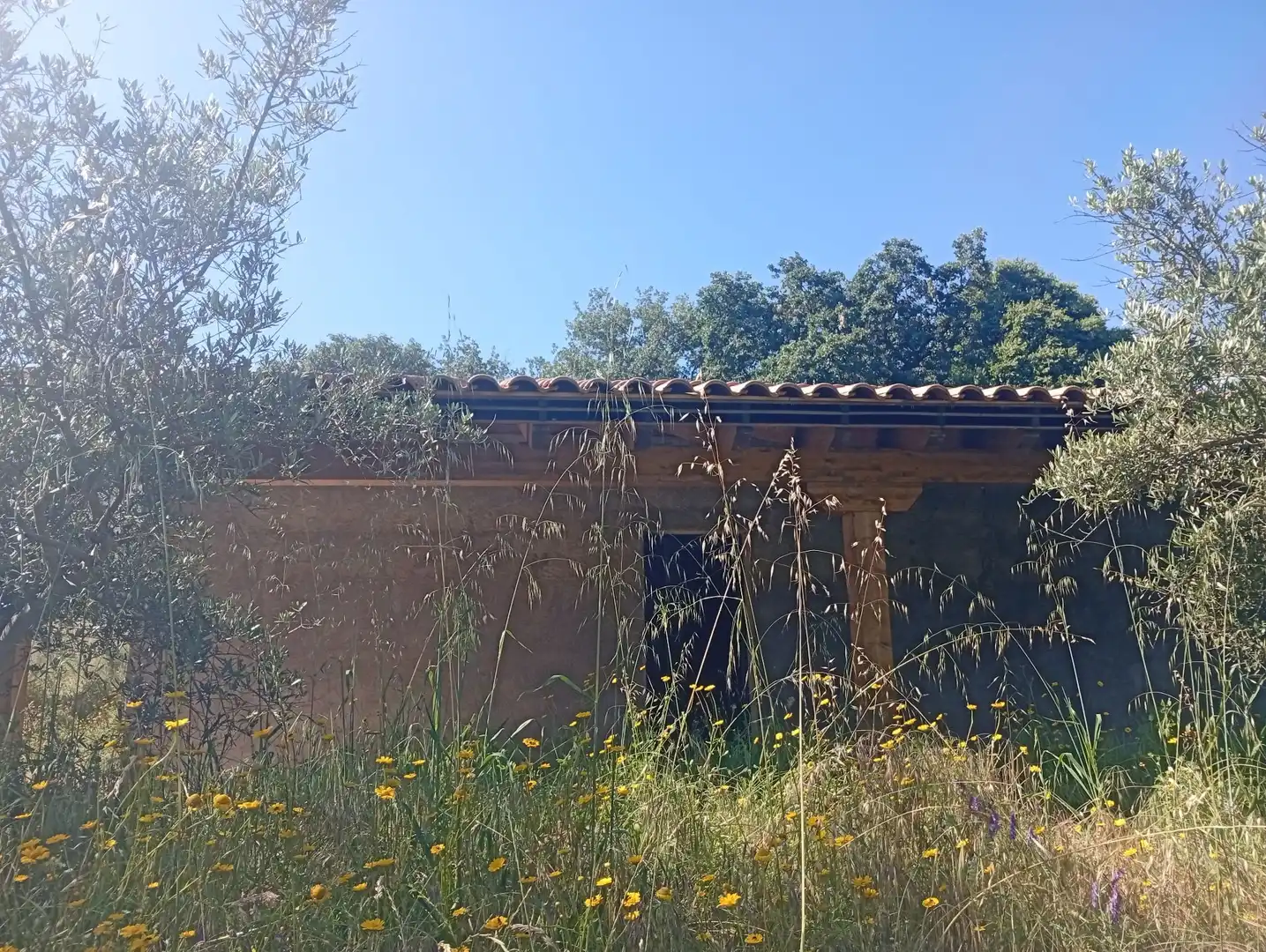 Maison à vendre à Villanueva de la Vera, imagen 60