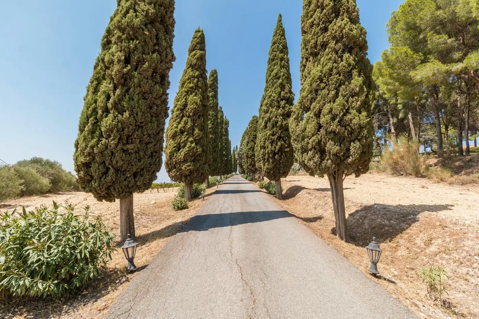 Vista exterior de Finca rústica en venda en Castellet i la Gornal amb Calefacció, Jardí privat i Terrassa