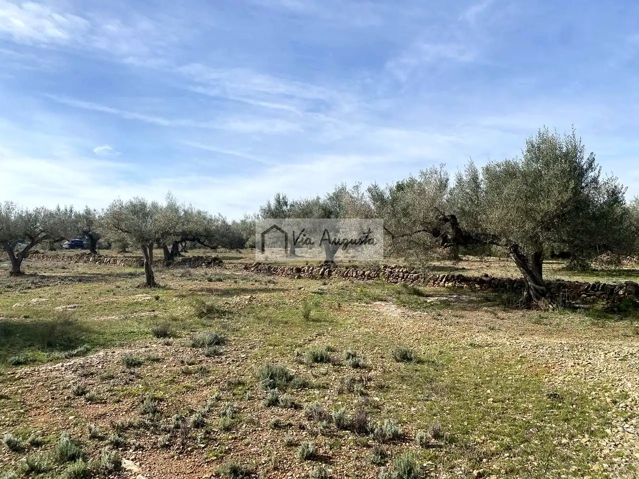 Terreno rustico in vendita a Planas, imagen 25