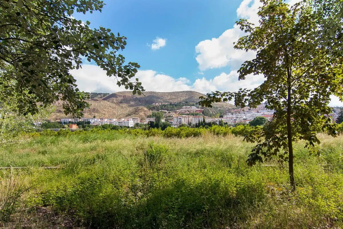 Casa rústica en venta en Genil, imagen 3