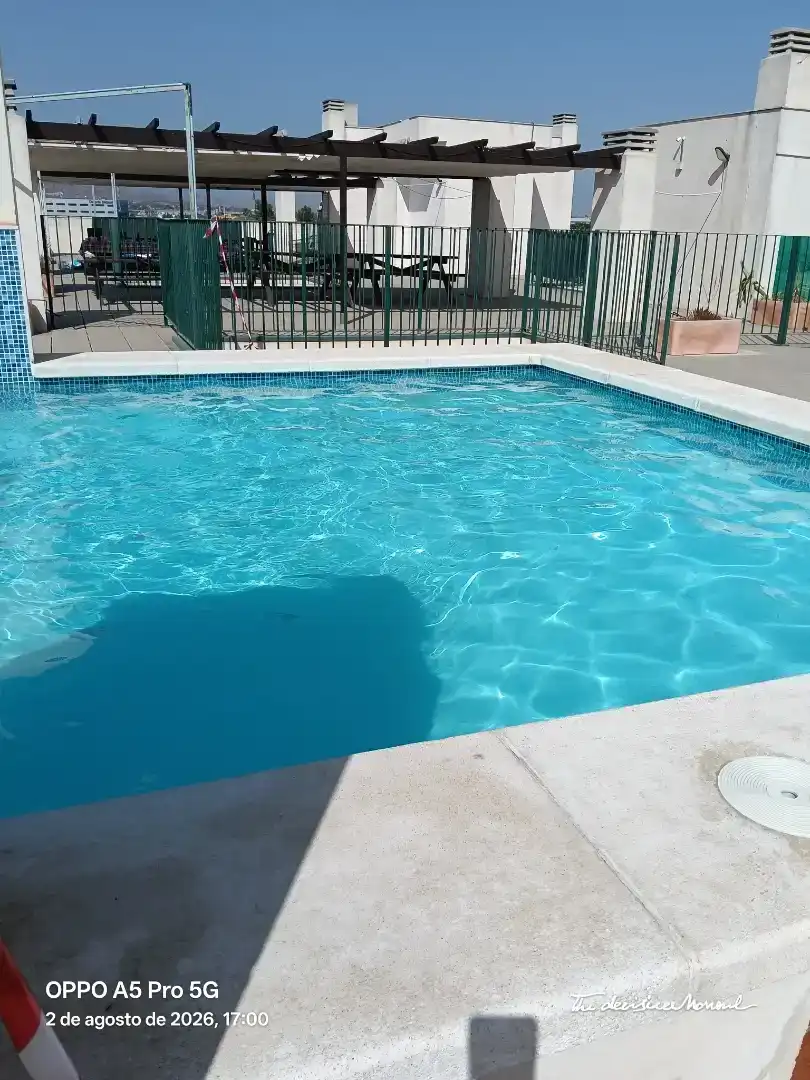 Piscina de Pis de lloguer en Monforte del Cid