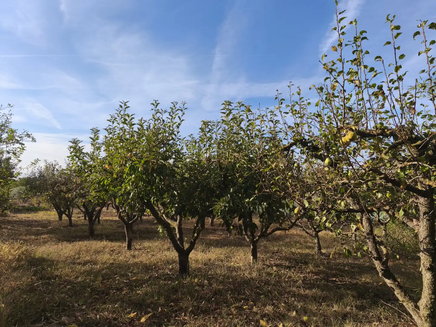 Land for sale in  Logroño