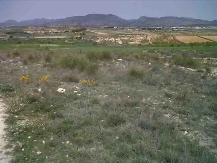 Terreny rústic en venda a Caravaca de la Cruz, imagen 7