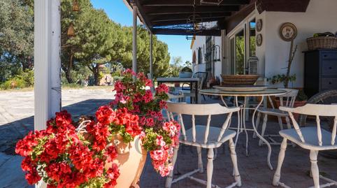 Photo 4 of Country house for sale in N/a, -1, Picadueñas, Cádiz