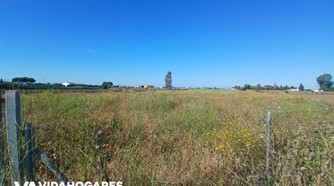Photo 5 of Country homes for sale in Norte - Blanca Paloma, Rota