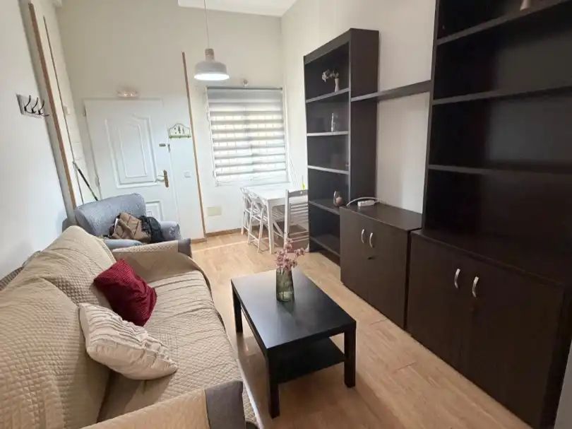 Sala de estar de Piso de alquiler en Ciudad Real con Amueblado, Lavadora y Microondas