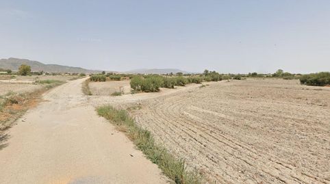 PARCELA DE REGADÍO PARA CULTIVO DE HORTALIZA Y FRUTÍCOLA.., immagine 2