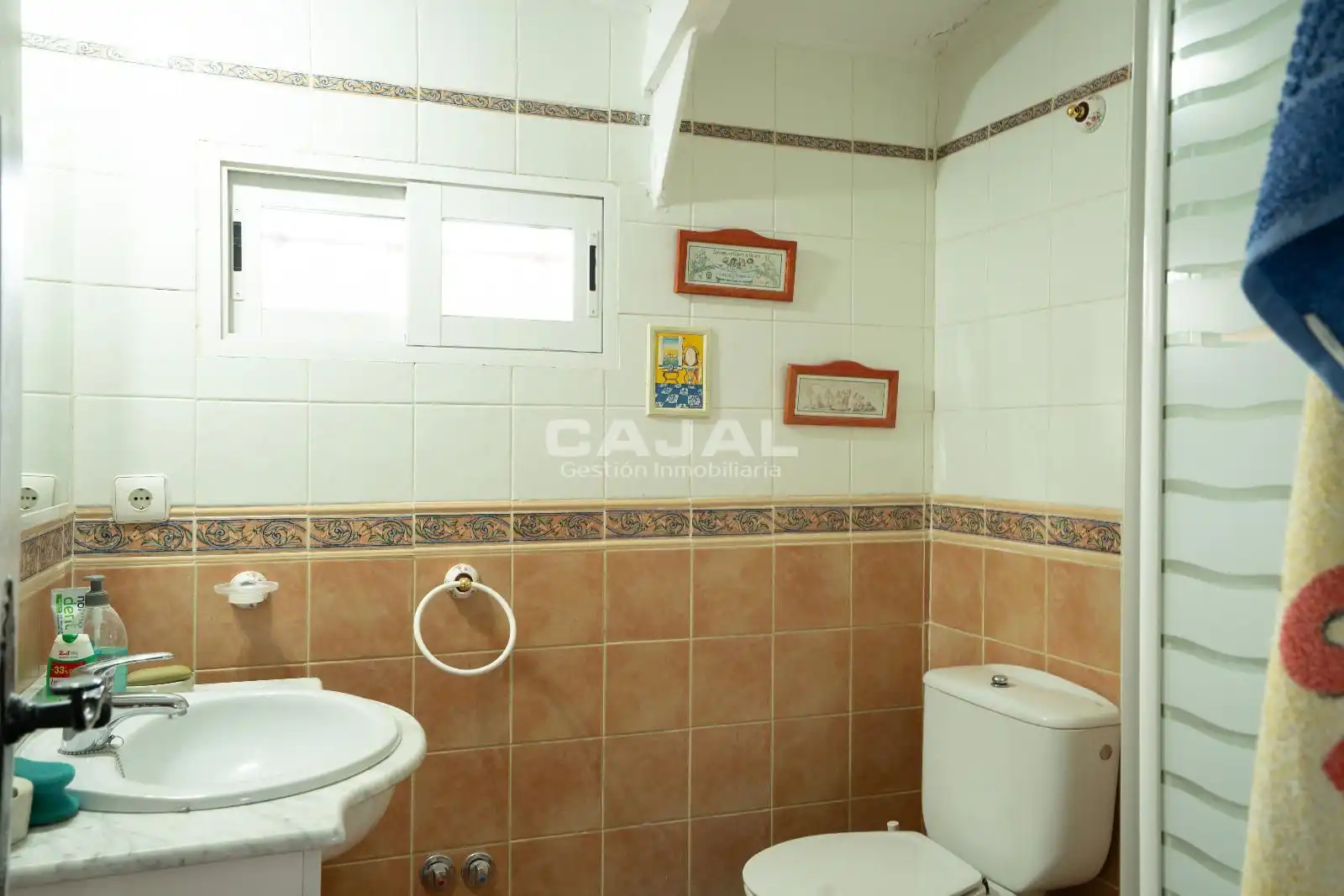 Bathroom of Houses for sale in Fresno de Cantespino  with Heating