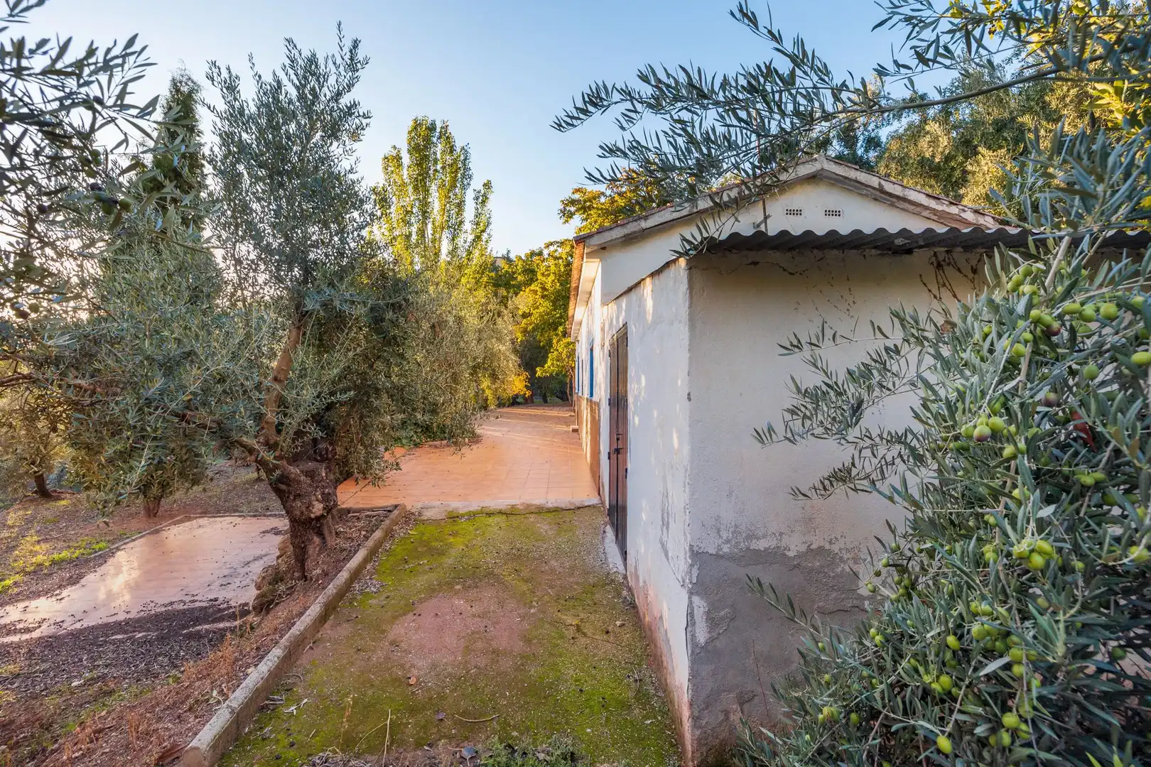 Casa o xalet en venda en Cogollos de la Vega