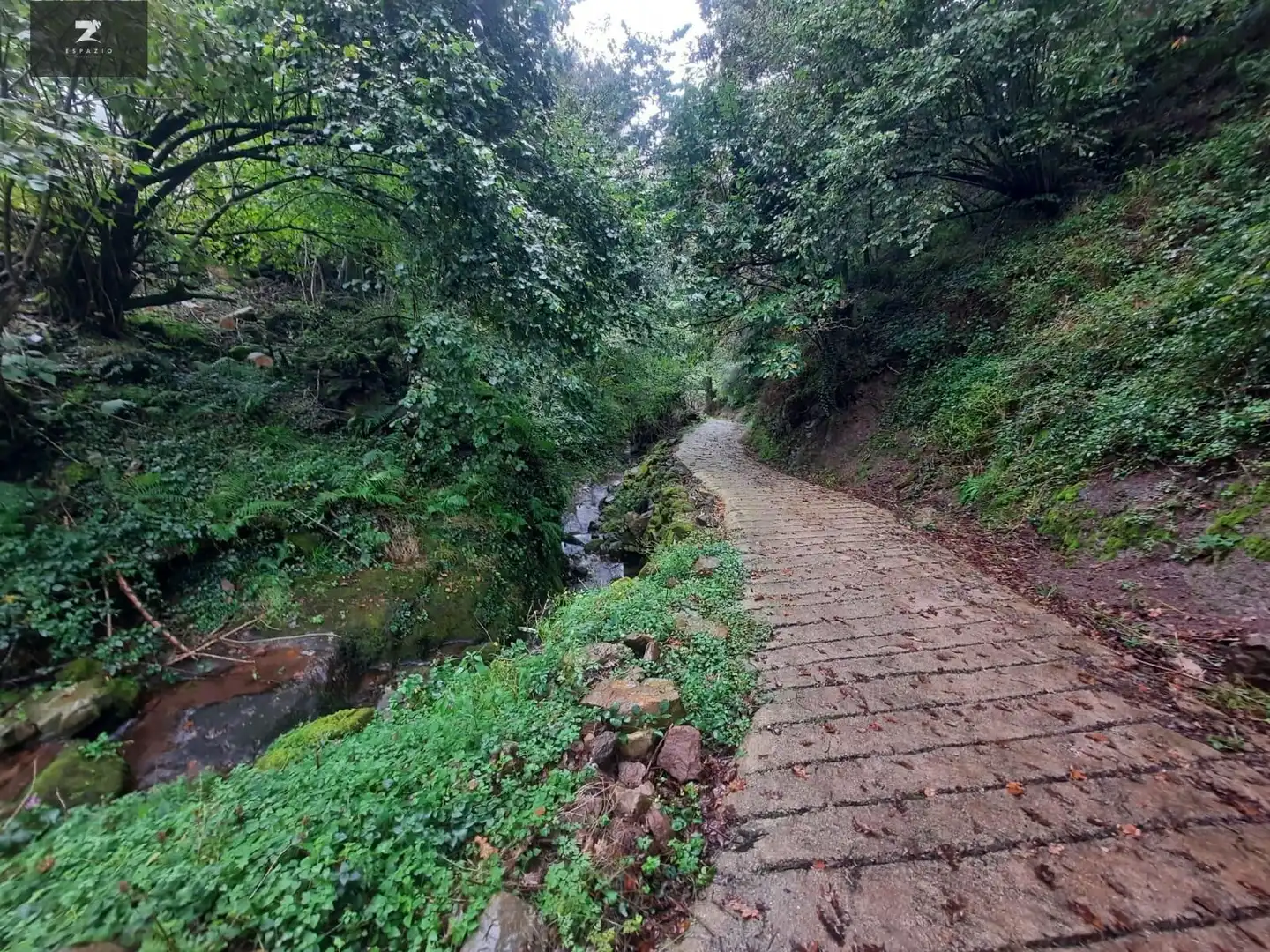 Casa rústica amb jardí en venda a Vega de Pas, imagen 15
