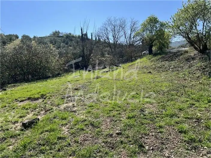 Casa rústica en venda a Alcalá la Real, imagen 15