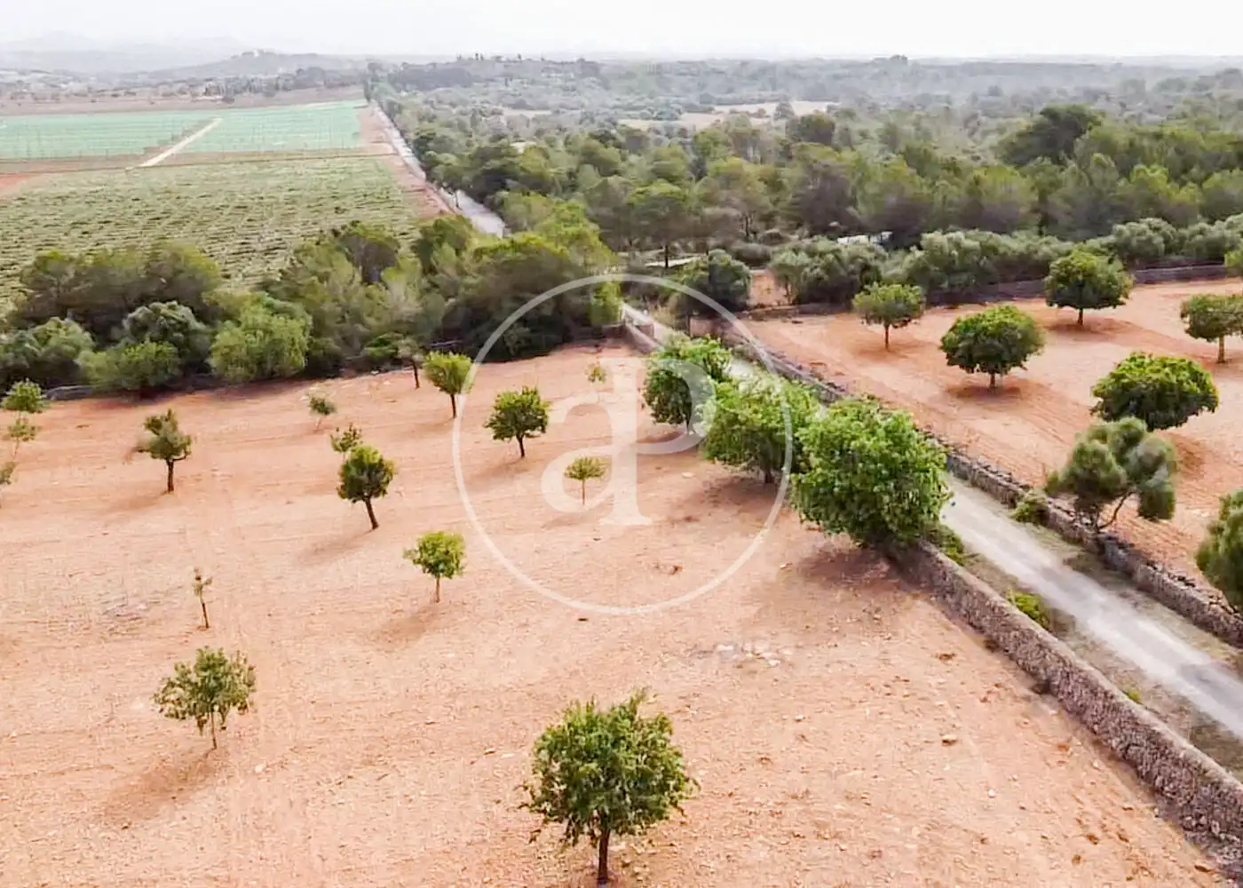 Terreno residenziale in vendita a Cami de.'s Presos, imagen 32