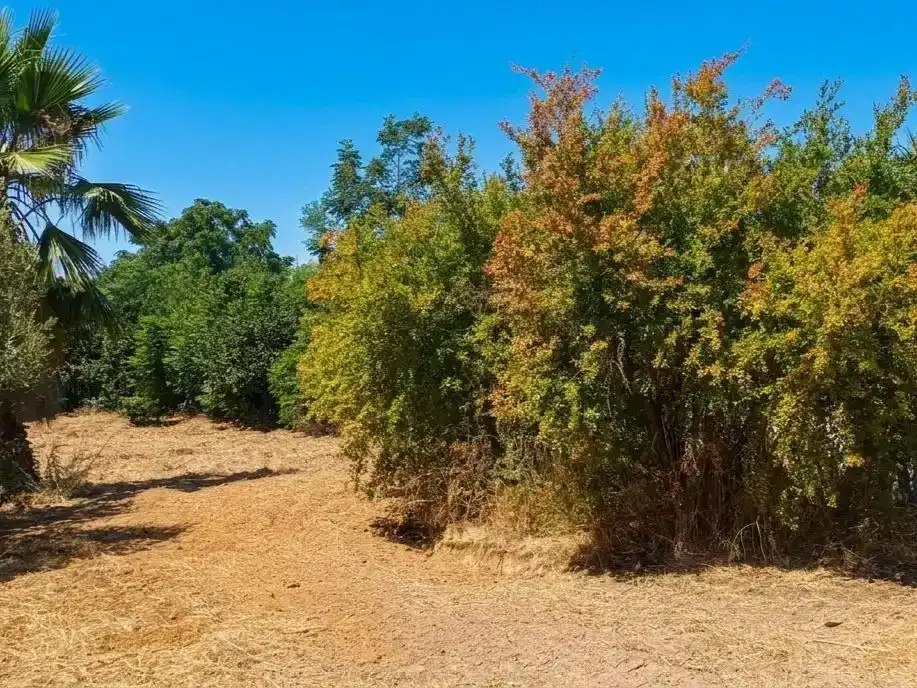 Piso en venta en Carmona con Aire acondicionado, Jardín privado y Parquet