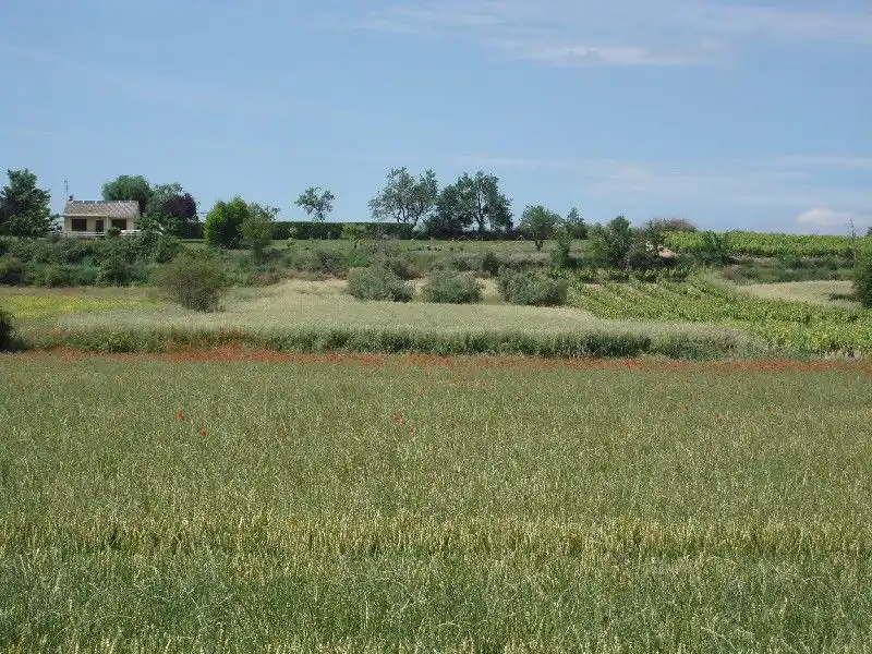 Terreny rústic en venda a Villamediana de Iregua