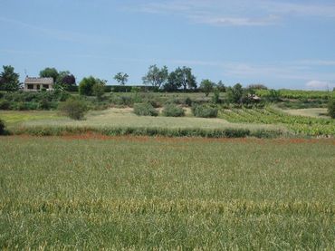 Terreno rustico in vendita a Villamediana de Iregua