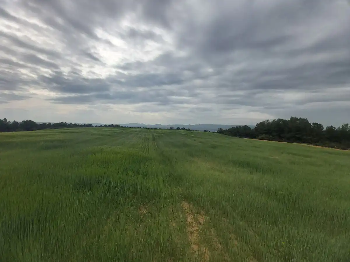 Finca rústica en venta en Seròs
