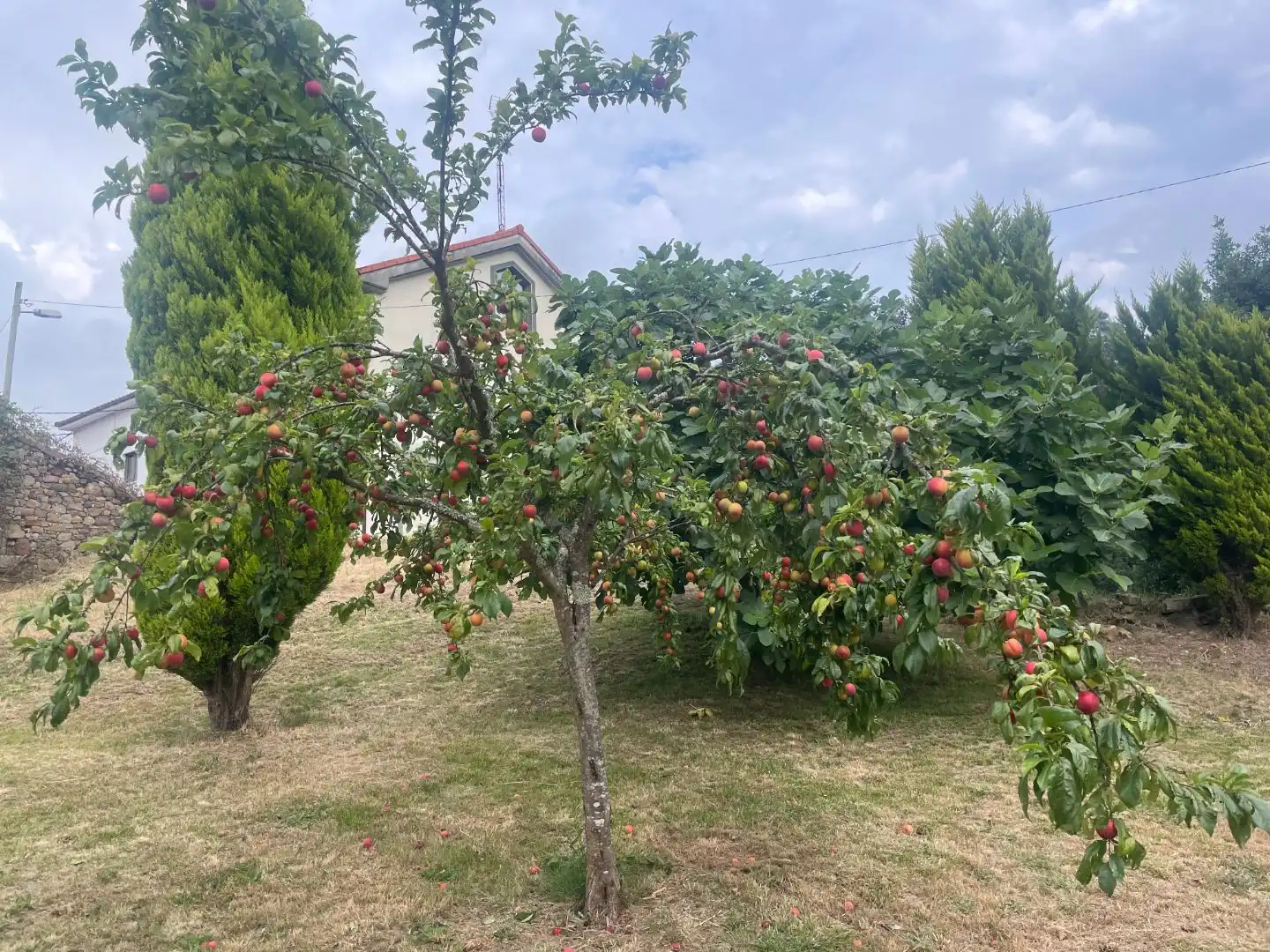 Garten von Residential zum Verkauf in Castrillón