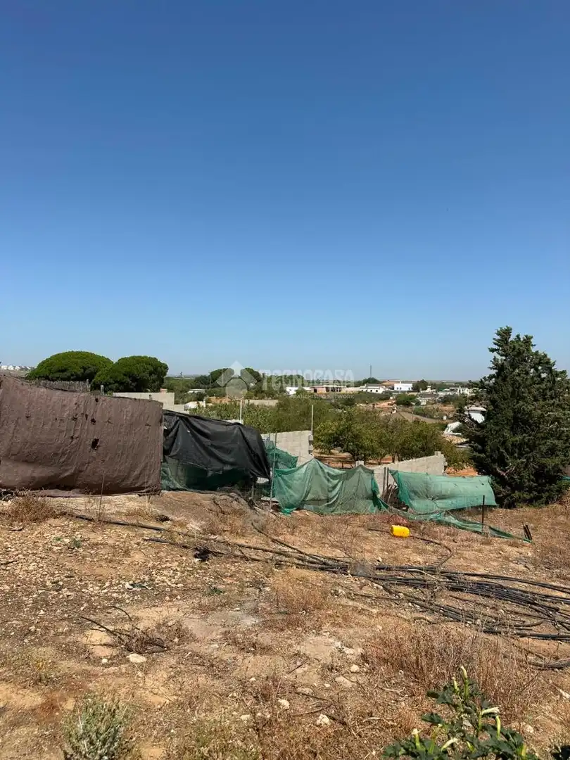 Casa rústica en venda a Arcos de la Frontera, imagen 12