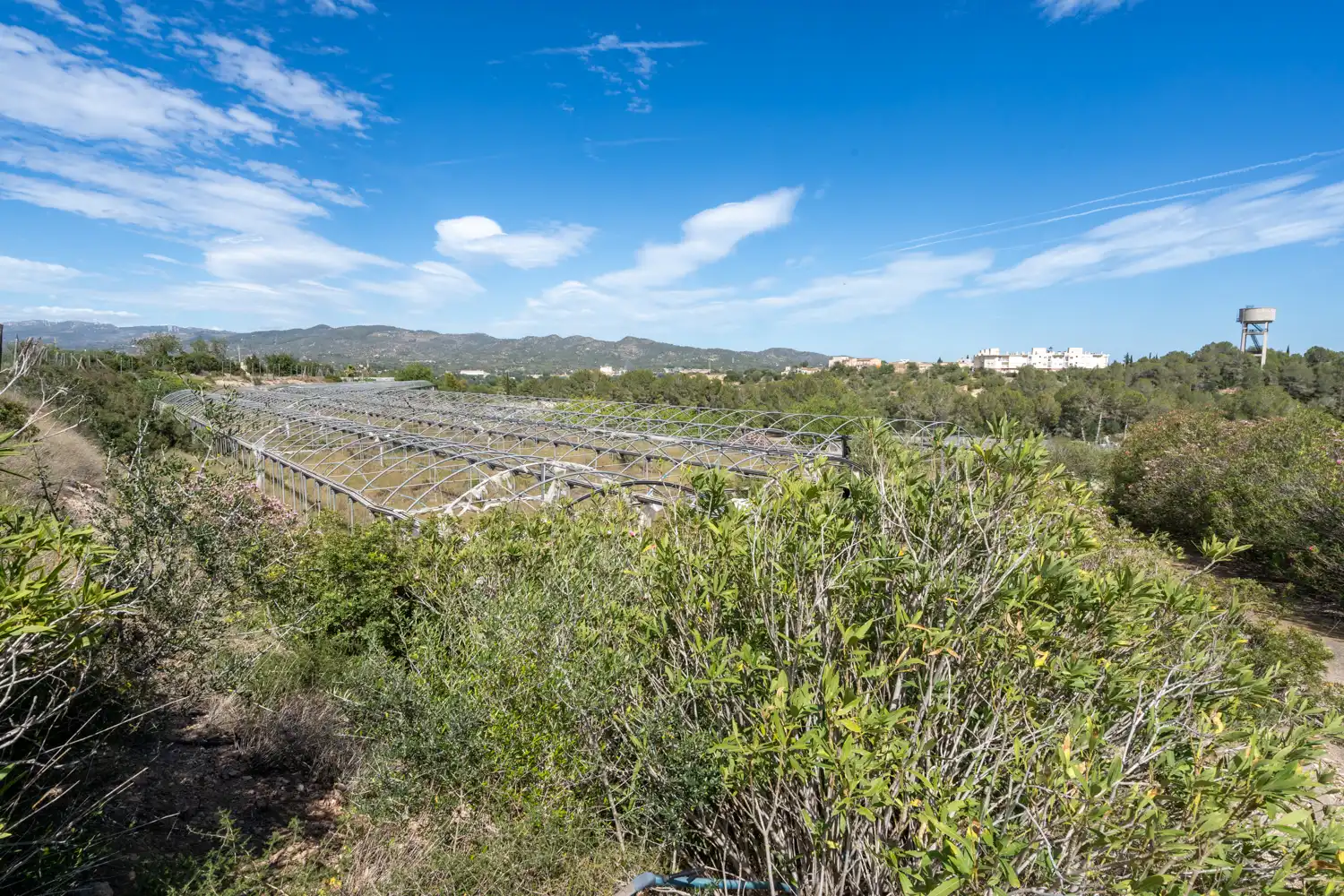 Rural land for sale in Camí del Barranc de Roé 94, imagen 3