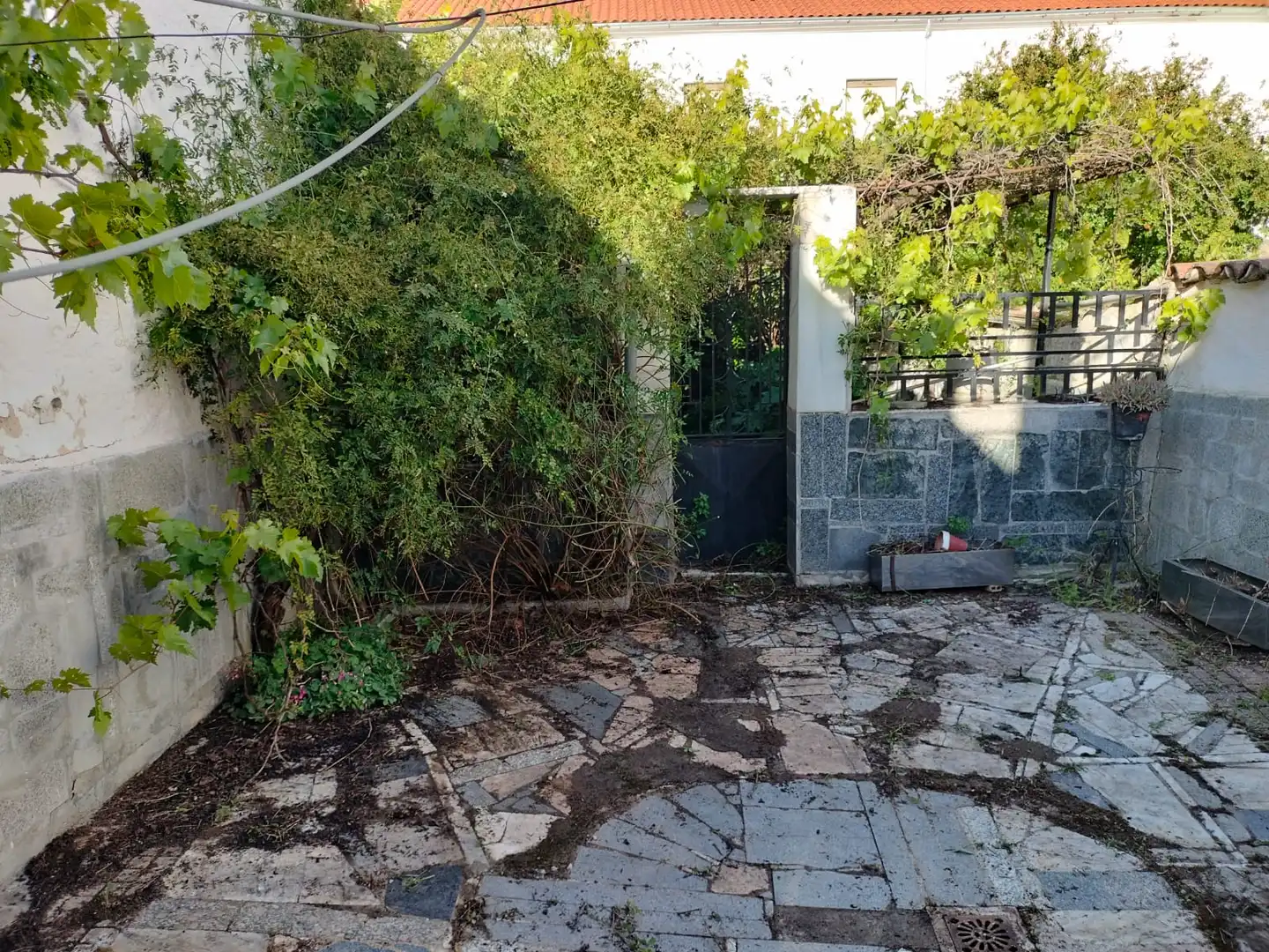 Jardí de Casa o xalet en venda en Pozoblanco amb Terrassa