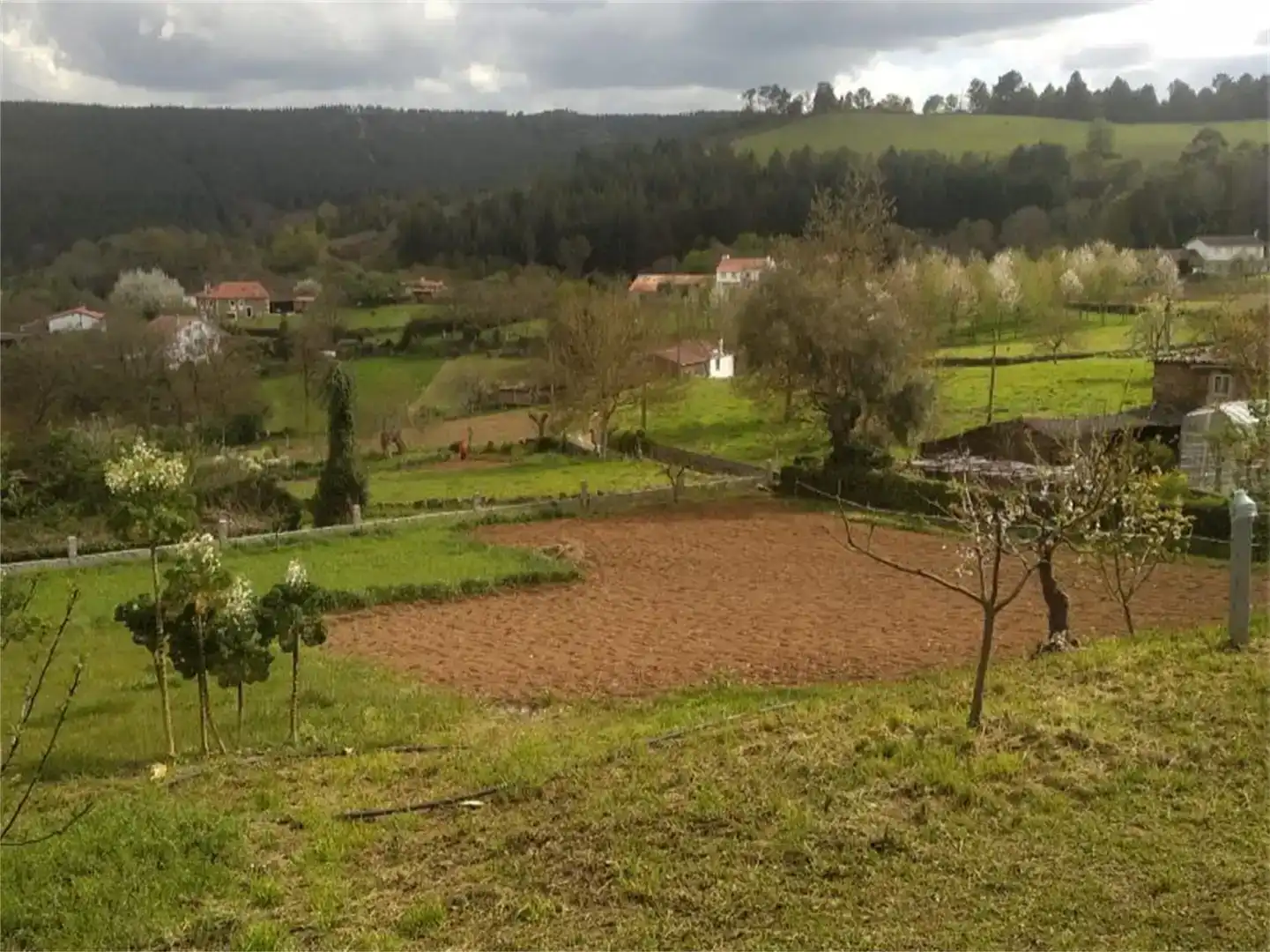 Finca rústica en venda en Vila de Cruces, Pontevedra
