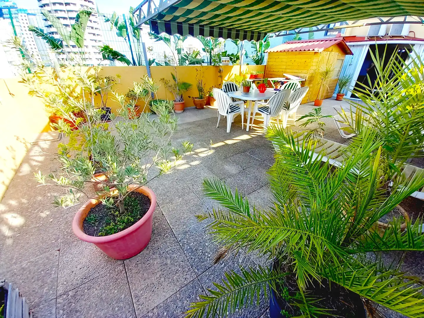 Terraza de Ático en venta en Benidorm con Aire acondicionado, Terraza y Amueblado