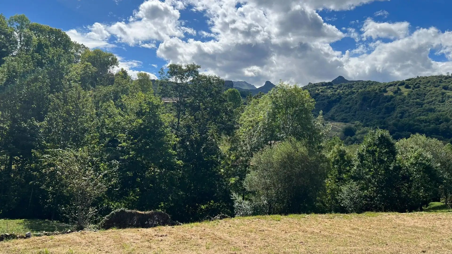 Terreni e lotti in vendita a AVIN, imagen 6