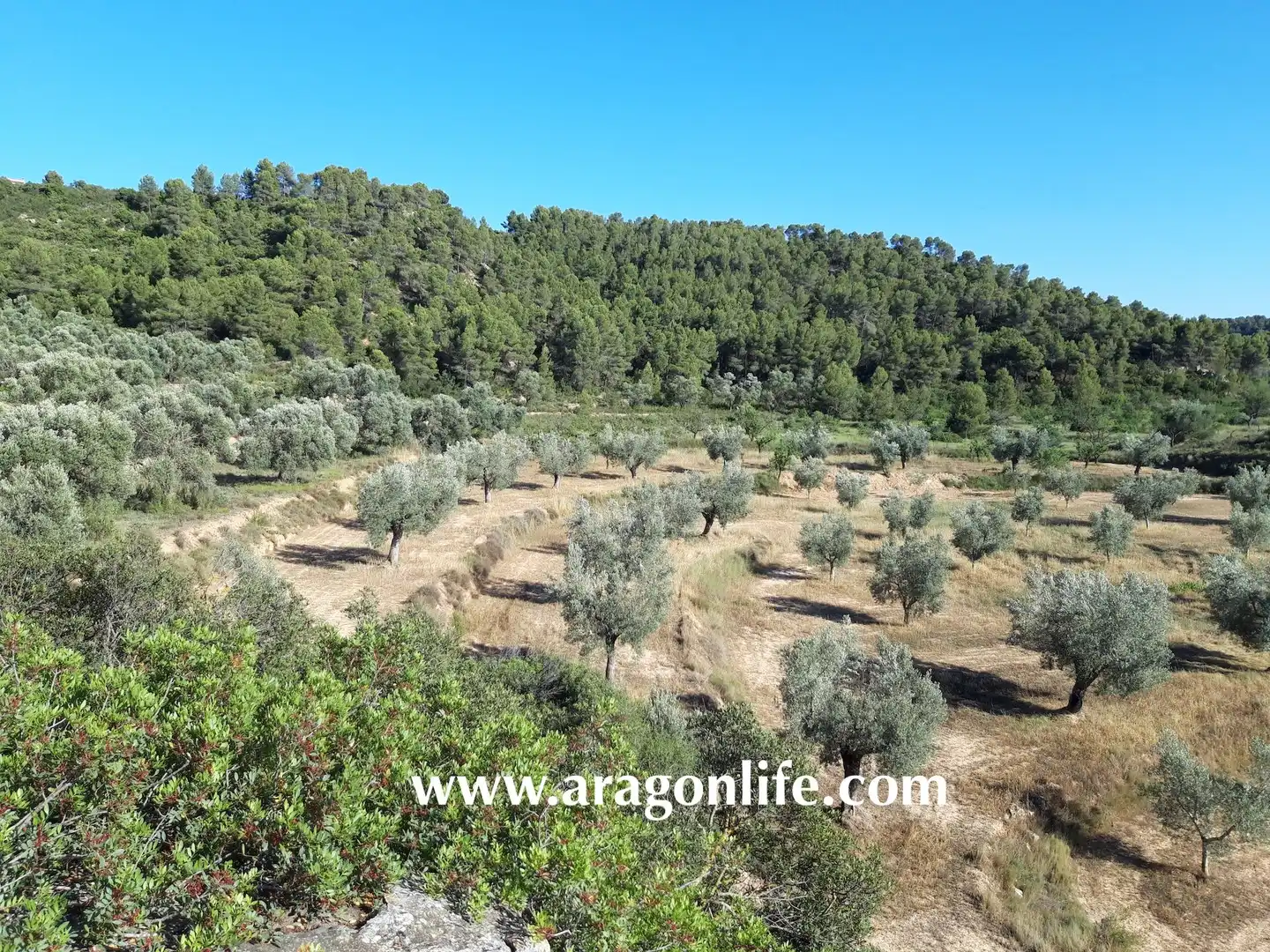 Terreni e lotti in vendita a Mazaleón, imagen 8