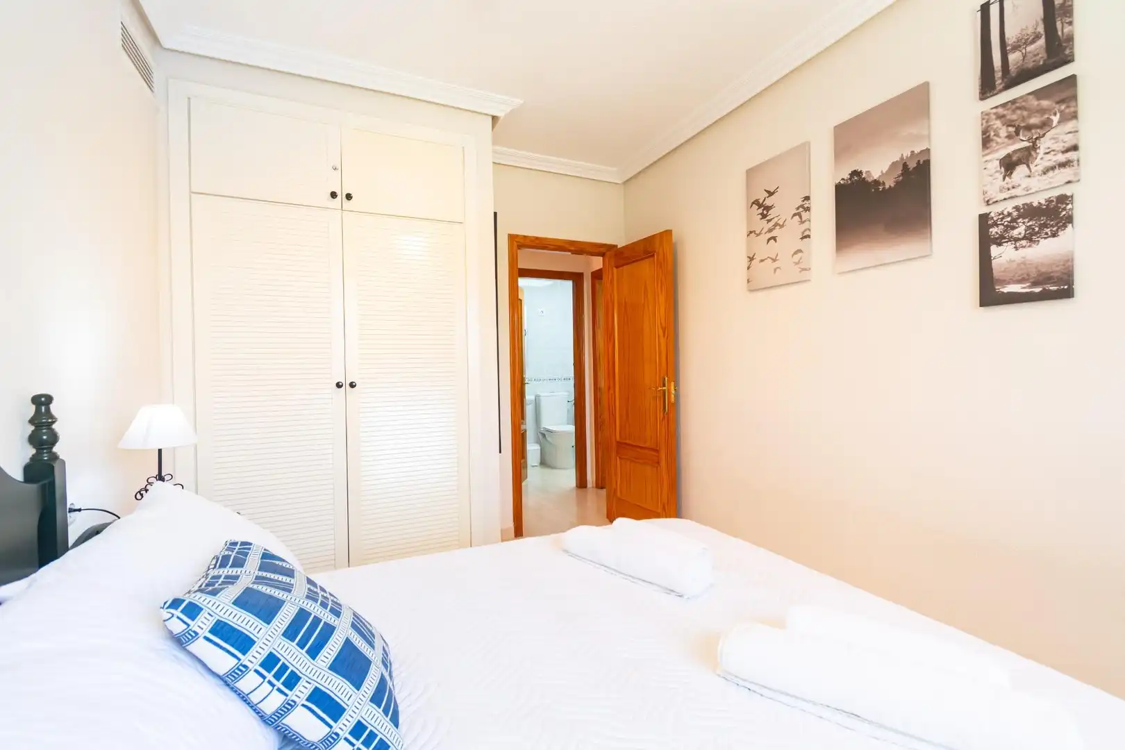 Apartament amb terrassa en venda a Los Collados-Los Geraneos, imagen 8