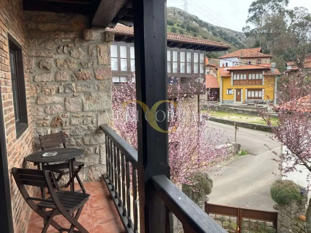 Terrassa de Edifici en venda en Peñamellera Baja