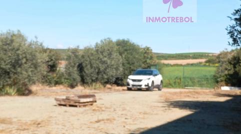 Foto 5 de Casa o xalet en venda a Carrión de los Céspedes, Sevilla