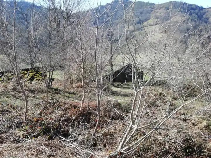 Country house zum Verkauf in Mieres (Asturias)