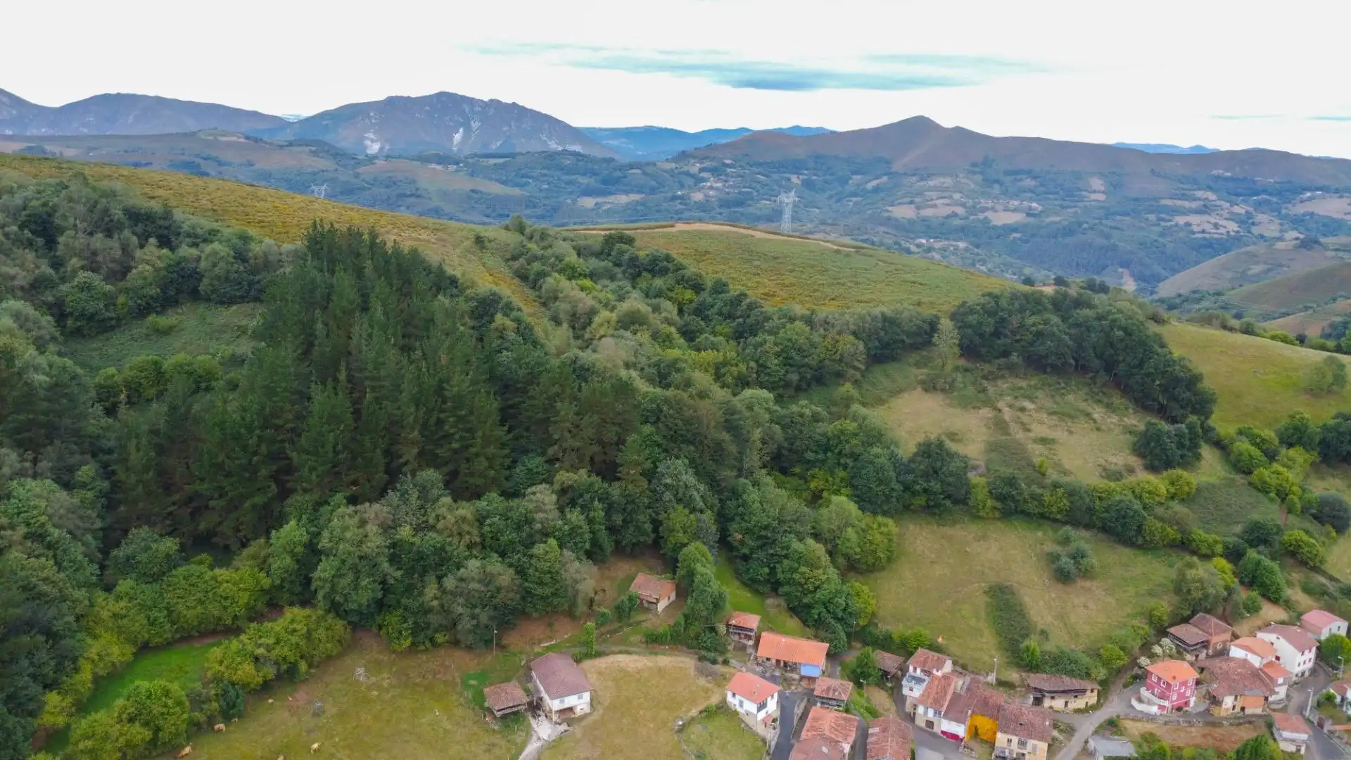 Finca rústica en venta en Grado