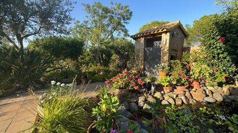 Photo 3 of House or chalet for sale in Dehesa - Monacilla, Aljaraque