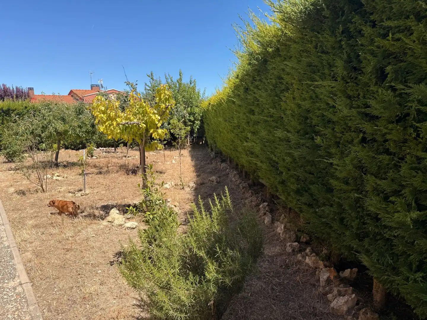 Casa o xalet en venda en Magaz de Pisuerga amb Calefacció